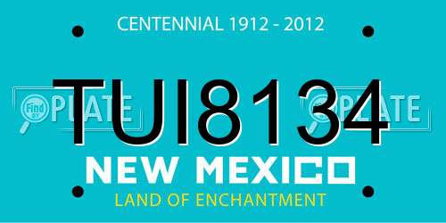 TUI8134 New Mexico License Plate