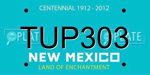 TUP303 New Mexico License Plate