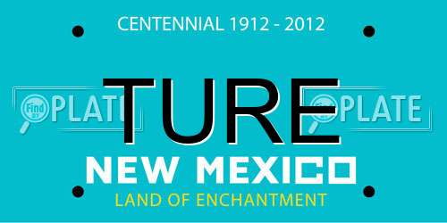 TURE New Mexico License Plate