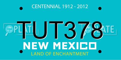 TUT378 New Mexico License Plate