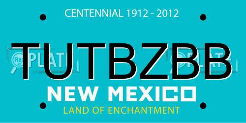 TUTBZBB New Mexico License Plate