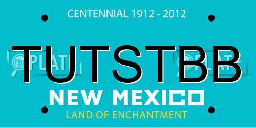 TUTSTBB New Mexico License Plate