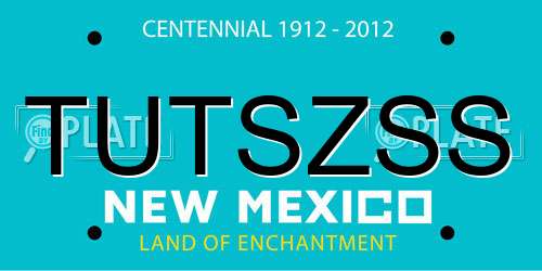 TUTSZSS New Mexico License Plate