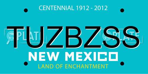 TUZBZSS New Mexico License Plate