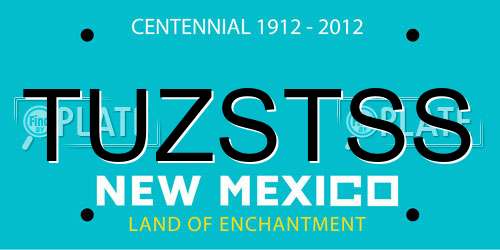 TUZSTSS New Mexico License Plate