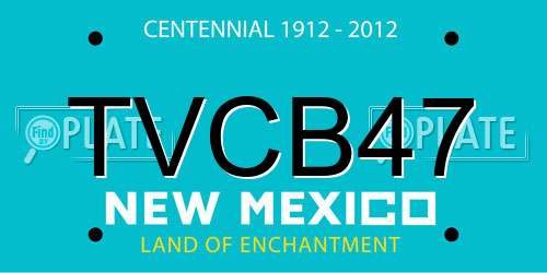 TVCB47 New Mexico License Plate