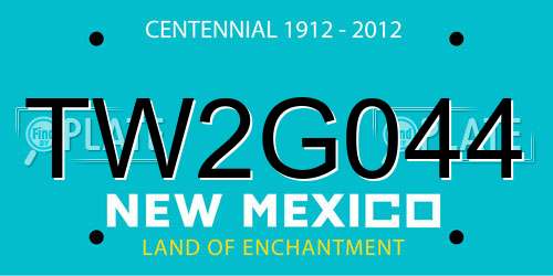 TW2G044 New Mexico License Plate
