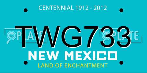 TWG733 New Mexico License Plate