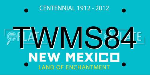 TWMS84 New Mexico License Plate