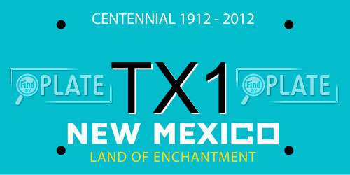 TX1 New Mexico License Plate