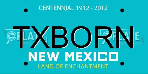 TXBORN New Mexico License Plate