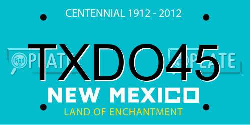 TXDO45 New Mexico License Plate