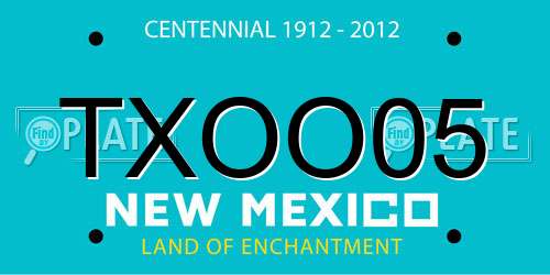 TXOO05 New Mexico License Plate