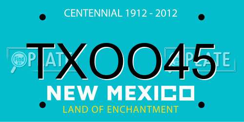 TXOO45 New Mexico License Plate