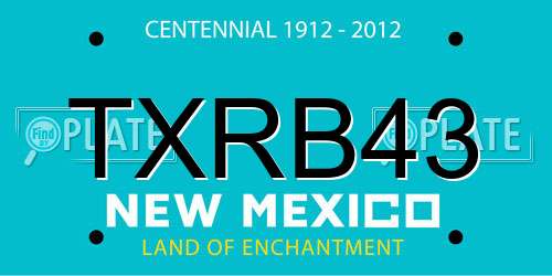 TXRB43 New Mexico License Plate