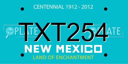 TXT254 New Mexico License Plate