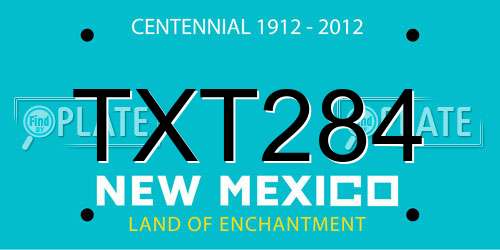 TXT284 New Mexico License Plate