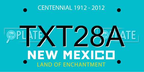 TXT28A New Mexico License Plate