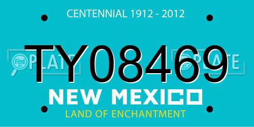 TY08469 New Mexico License Plate