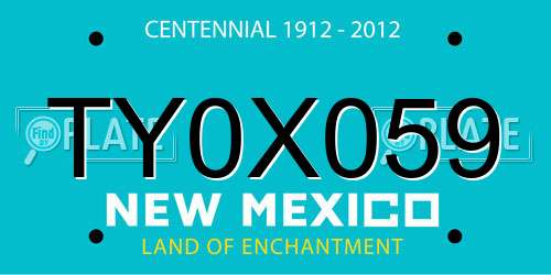 TY0X059 New Mexico License Plate