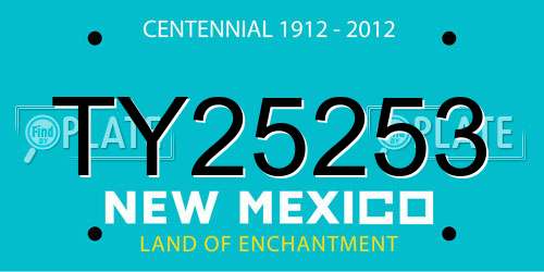 TY25253 New Mexico License Plate
