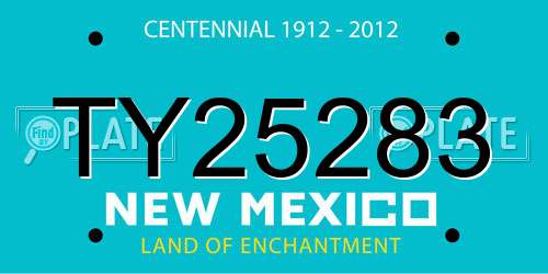 TY25283 New Mexico License Plate