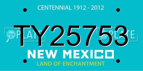 TY25753 New Mexico License Plate