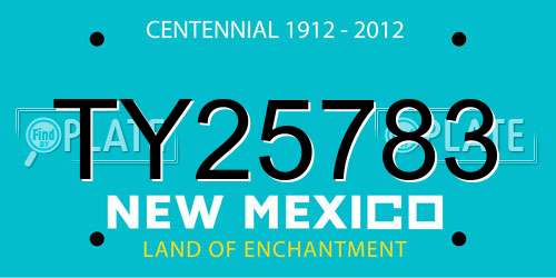 TY25783 New Mexico License Plate
