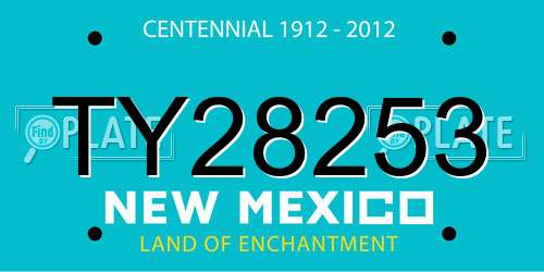 TY28253 New Mexico License Plate