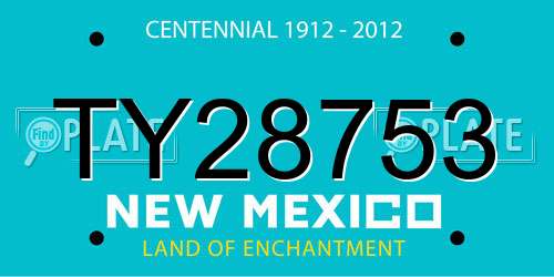 TY28753 New Mexico License Plate