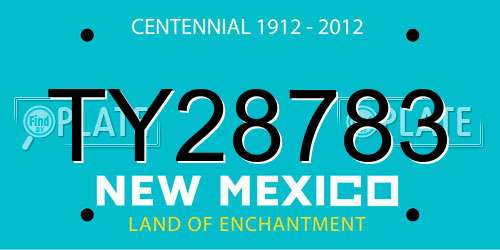 TY28783 New Mexico License Plate