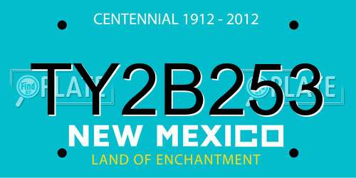 TY2B253 New Mexico License Plate