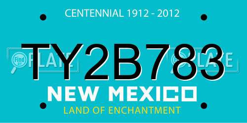 TY2B783 New Mexico License Plate