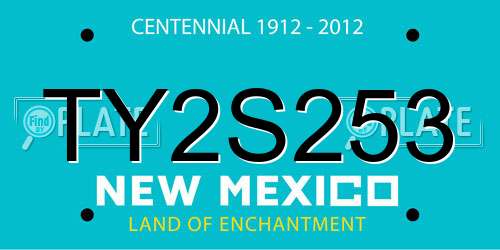 TY2S253 New Mexico License Plate
