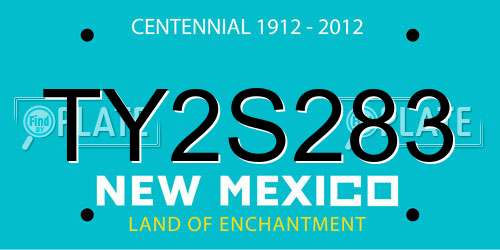 TY2S283 New Mexico License Plate