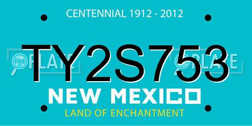 TY2S753 New Mexico License Plate