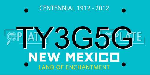 TY3G5G New Mexico License Plate