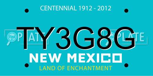TY3G8G New Mexico License Plate