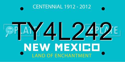 TY4L242 New Mexico License Plate