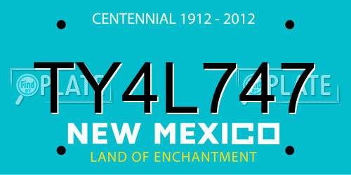 TY4L747 New Mexico License Plate