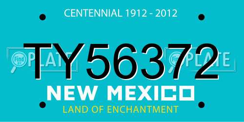 TY56372 New Mexico License Plate