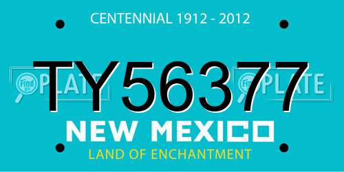 TY56377 New Mexico License Plate