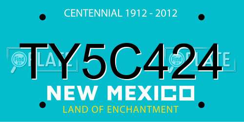 TY5C424 New Mexico License Plate