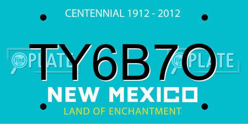 TY6B7O New Mexico License Plate