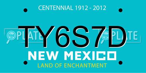 TY6S7D New Mexico License Plate