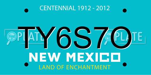 TY6S7O New Mexico License Plate