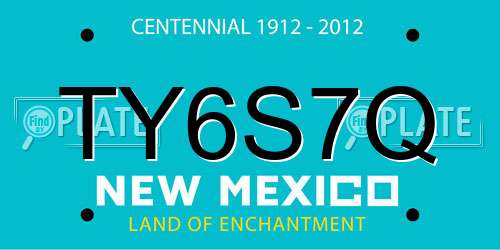 TY6S7Q New Mexico License Plate