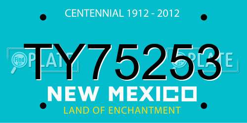 TY75253 New Mexico License Plate