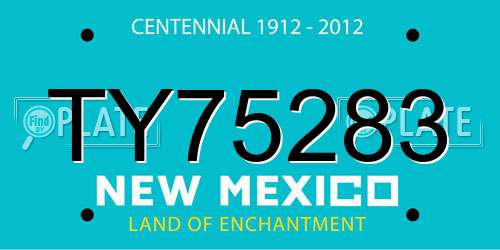 TY75283 New Mexico License Plate