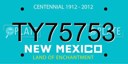 TY75753 New Mexico License Plate
